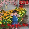 Hoanglovetg